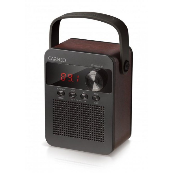 CARNEO F90 FM rádio, BT reproduktor, black wood